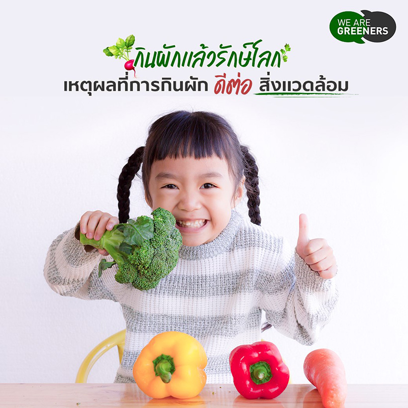 การสร้างแพลตฟอร์มสำหรับกลุ่มสังคมออนไลน์ การสร้างแพลตฟอร์มสำหรับกลุ่มสังคมออนไลน์