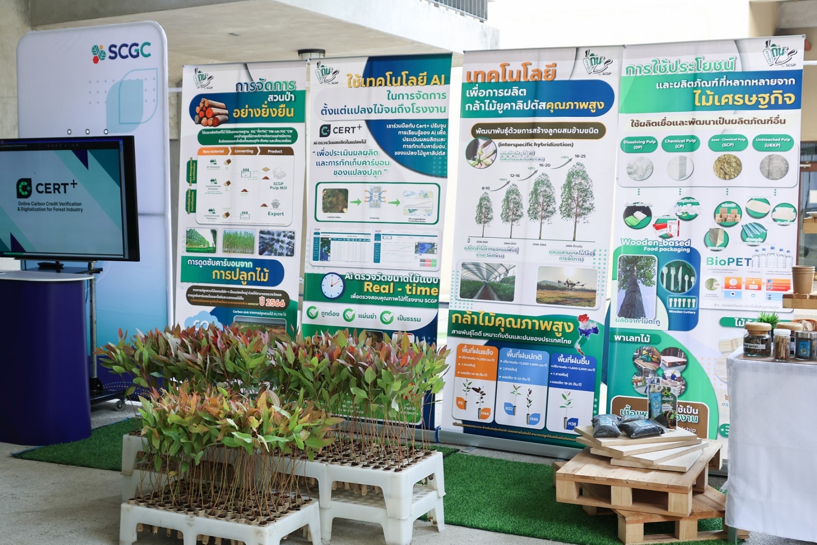 “ตลาดนำ- นวัตกรรมเสริม” โอกาสสร้างรายได้ยั่งยืน “ไม้เศรษฐกิจโตเร็ว”