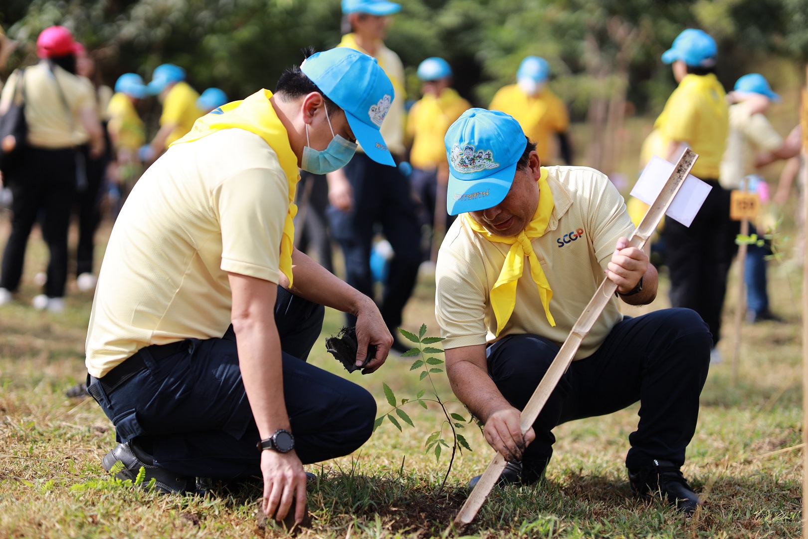 Uniting Power through SCGP ’Plant Beats Heat' Volunteer Development Project to Expand Green Spaces in Kanchanaburi Community Forest for Father's Day and World Soil Day