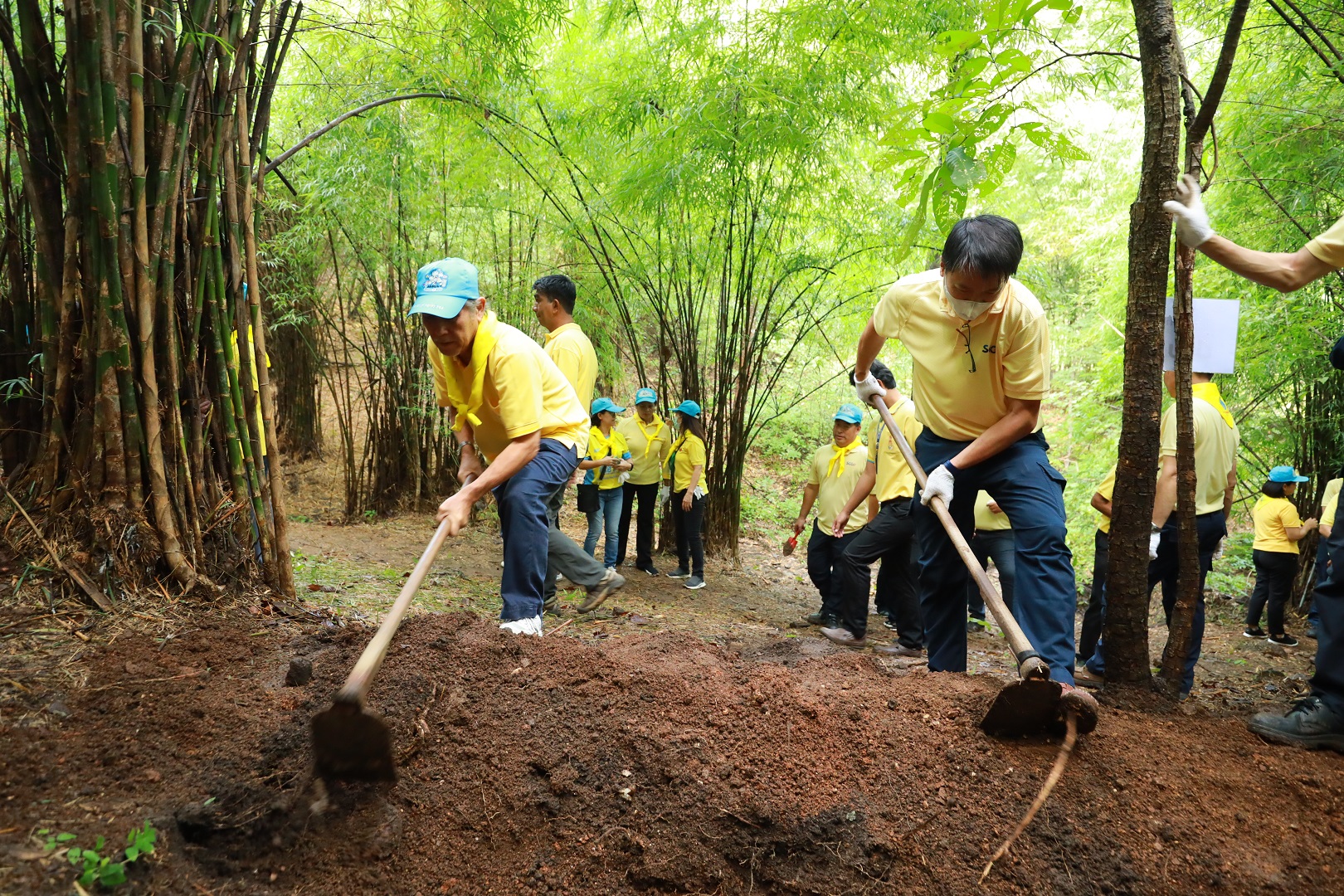 Uniting Power through SCGP ’Plant Beats Heat' Volunteer Development Project to Expand Green Spaces in Kanchanaburi Community Forest for Father's Day and World Soil Day