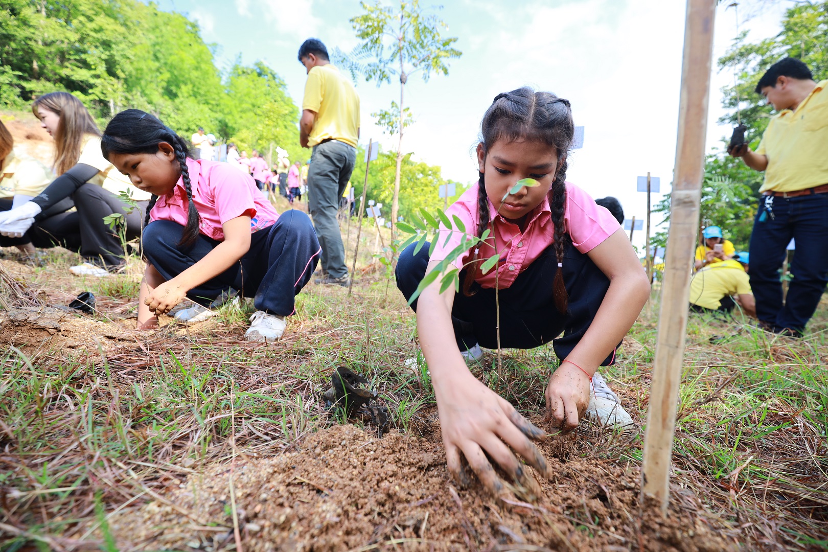Uniting Power through SCGP ’Plant Beats Heat' Volunteer Development Project to Expand Green Spaces in Kanchanaburi Community Forest for Father's Day and World Soil Day
