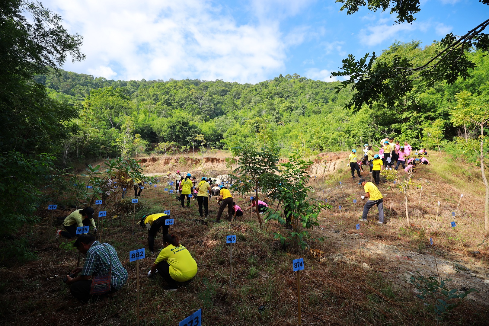 Uniting Power through SCGP ’Plant Beats Heat' Volunteer Development Project to Expand Green Spaces in Kanchanaburi Community Forest for Father's Day and World Soil Day