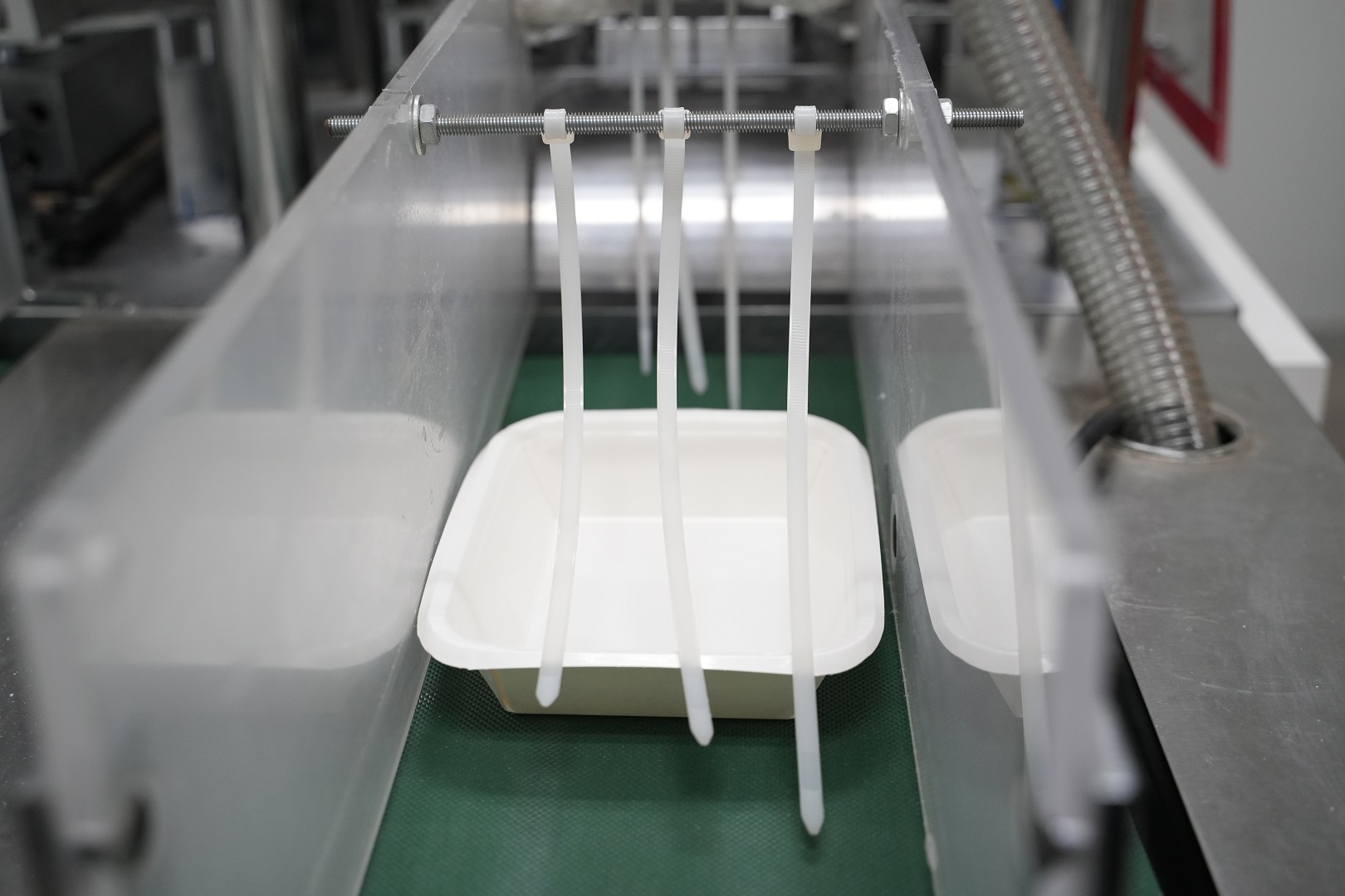 Fest by SCGP เปิดบ้านโชว์นวัตกรรมบรรจุภัณฑ์ตลาดอาหารพร้อมทาน-เนื้อสดแช่เย็น และตู้อัตโนมัติ ด้วยฐานการผลิตศักยภาพสูง รองรับดีมานด์บรรจุภัณฑ์ยั่งยืนโตต่อเนื่อง