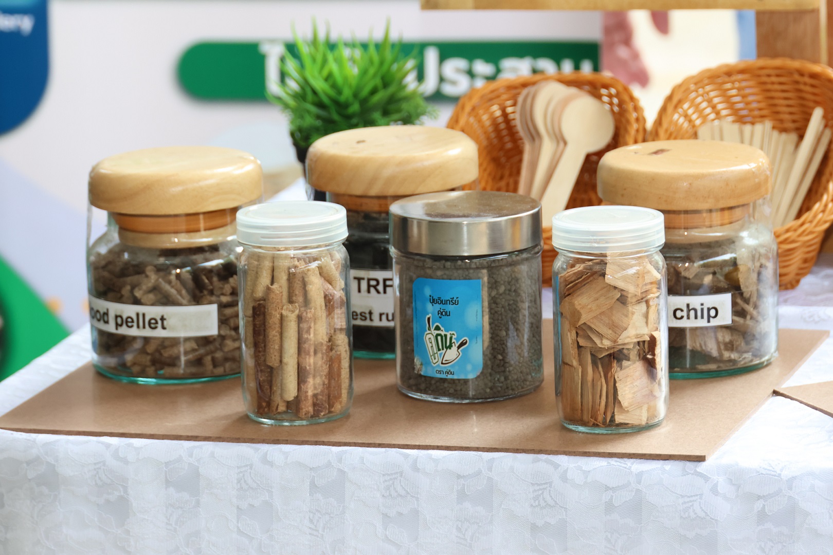 “ตลาดนำ- นวัตกรรมเสริม” โอกาสสร้างรายได้ยั่งยืน “ไม้เศรษฐกิจโตเร็ว”