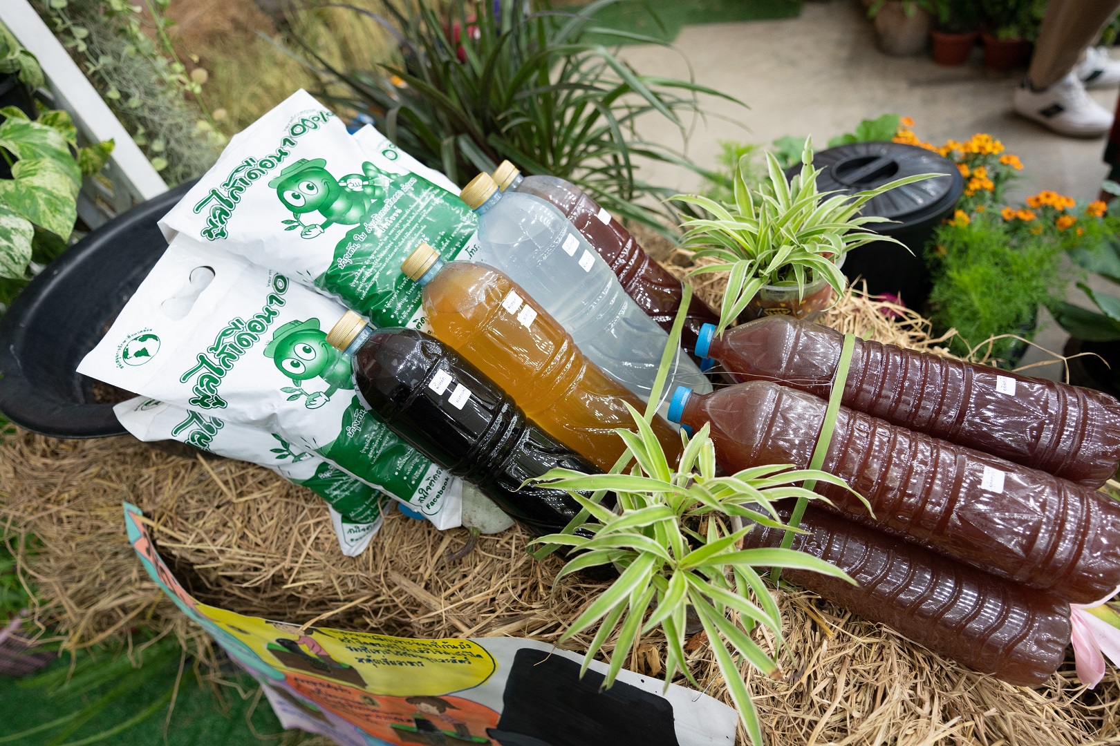 รางวัลแห่งการจัดการขยะอย่างยั่งยืน